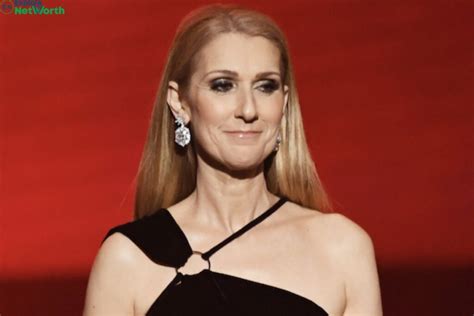 celine dion career sales|how much is celine dion worth.